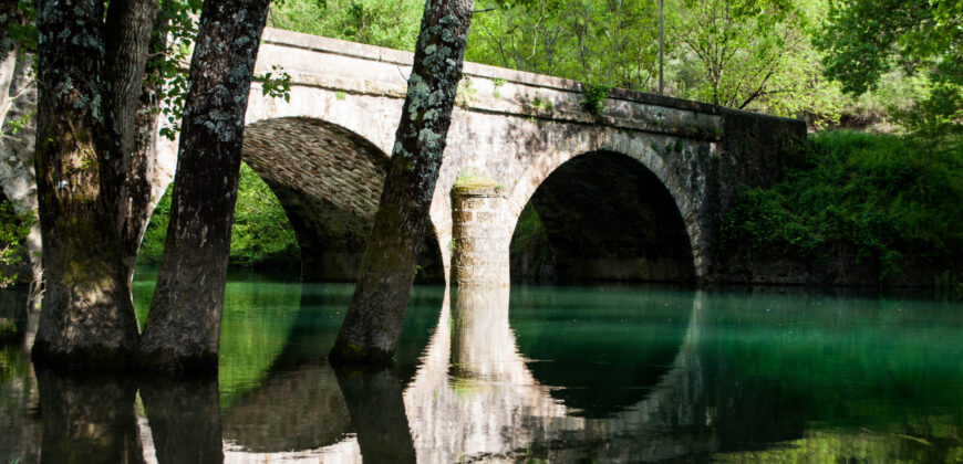 COQUETTE MAISON DE VILLAGE