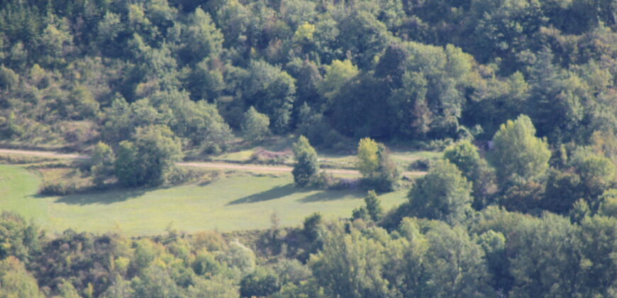 COQUETTE MAISON DE VILLAGE