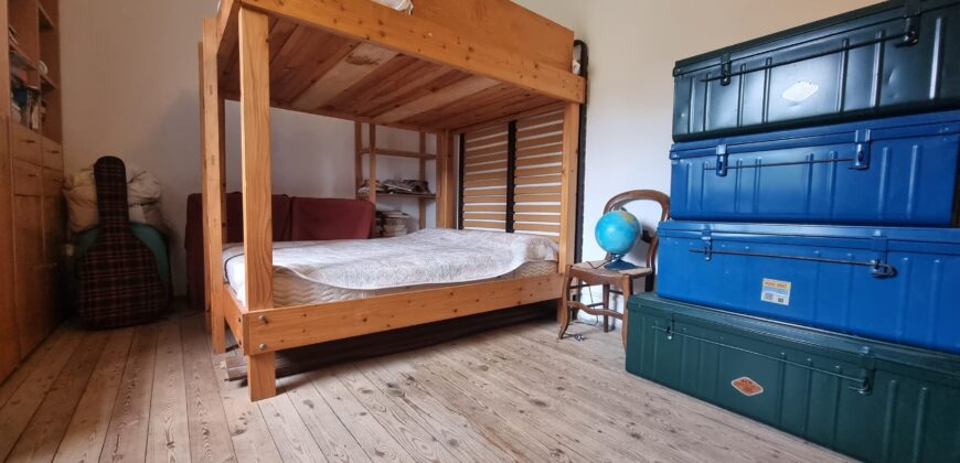 COQUETTE MAISON DE VILLAGE