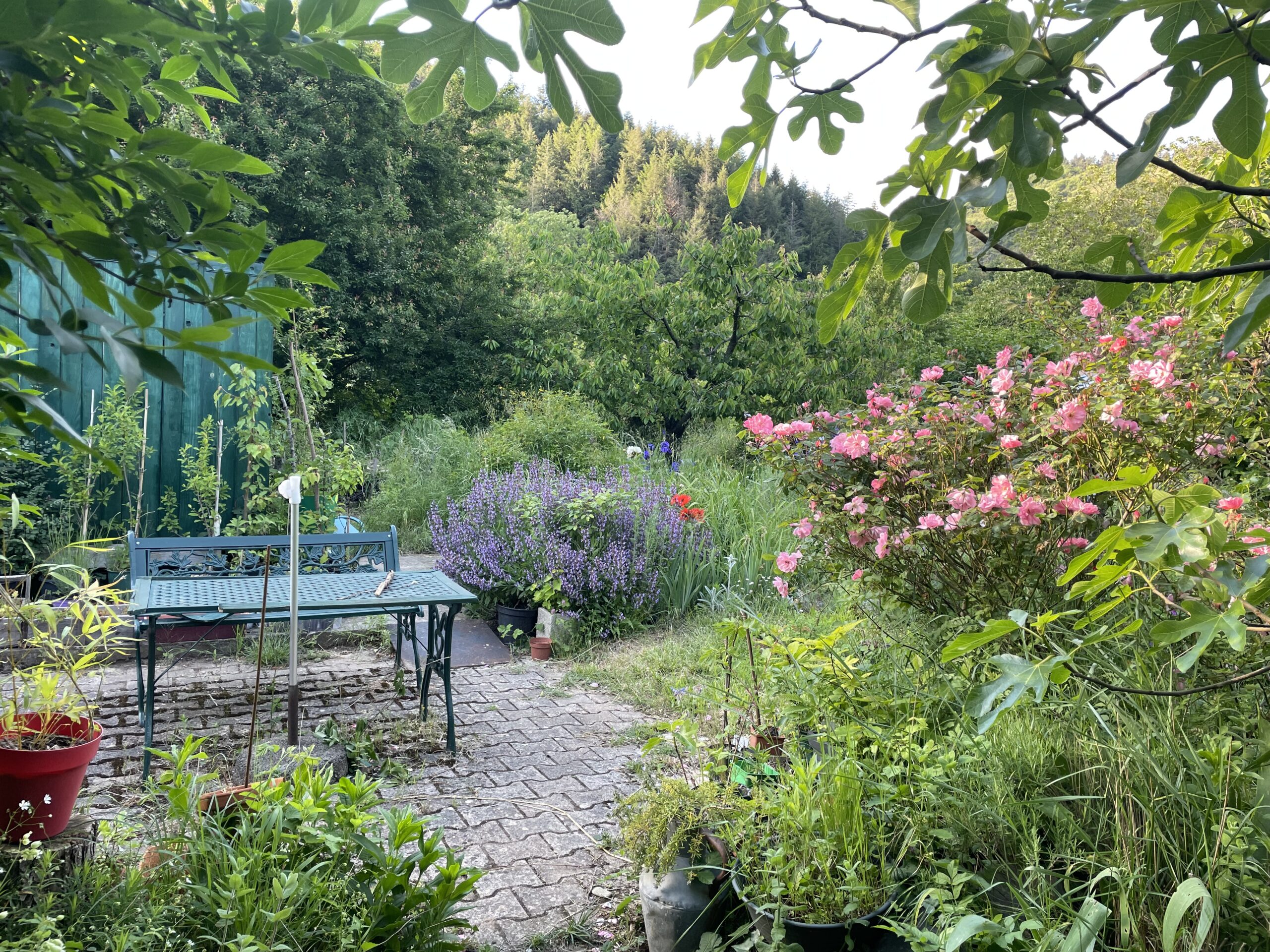 RESIDENCE d&rsquo;ARTISTES